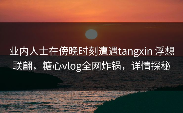 业内人士在傍晚时刻遭遇tangxin 浮想联翩，糖心vlog全网炸锅，详情探秘